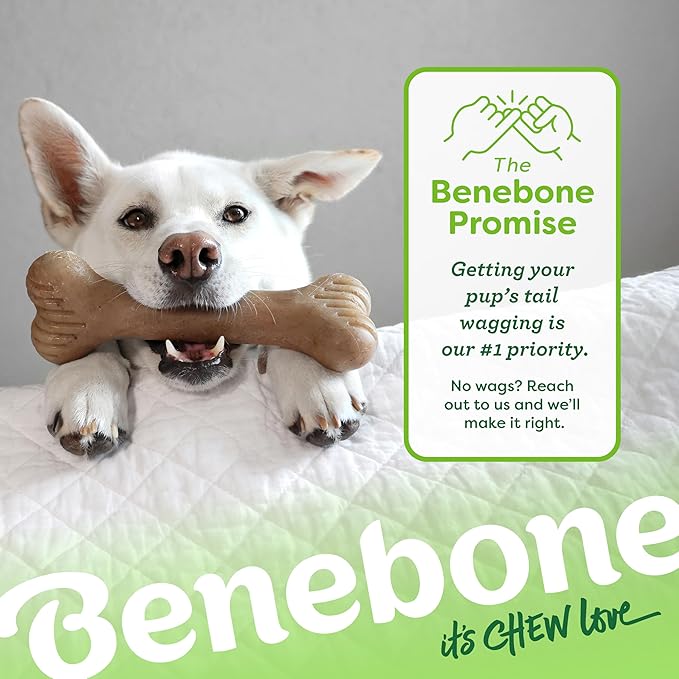 Benebone Bone Durable Dog Chew Toy for Aggressive Chewers, Real Bacon, Made in USA, Small