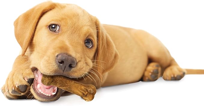 Nylabone Healthy Edibles Natural Puppy Chews Long Lasting Treats for Puppies, Lamb & Apple Dog Treats, X-Small/Petite (4 Count)