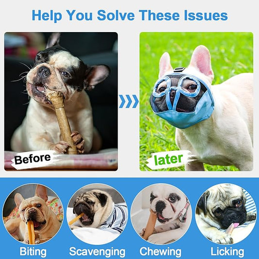 Short Snout Dog Muzzles- Adjustable Breathable Mesh Bulldog Muzzle for Biting Chewing Licking Training Grooming Dog Mask (Blue(Eyehole), Small/9"-12")