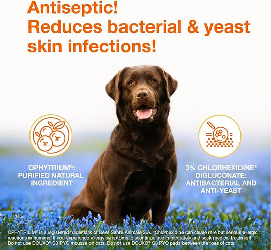 Douxo S3 PYO Chlorhexidine Shampoo (6.7 oz) & Mousse (5 fl oz) for Dogs Set, Antibacterial & Antiseptic Yeast Infection Treatment for Dogs, Clinically Proven