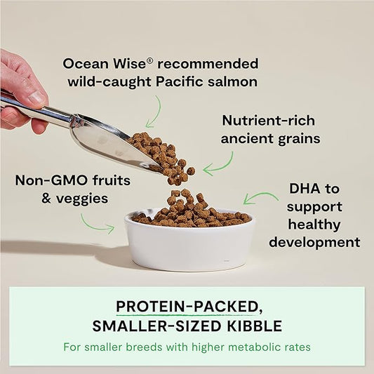 Open Farm, Ancient Grains Dry Dog Food for Puppies, Protein-Rich & Nutrient Dense, 90% Animal Protein Mixed with Non-GMO Fruits, Veggies and Superfoods, Salmon Recipe for Puppy, 4lb Bag