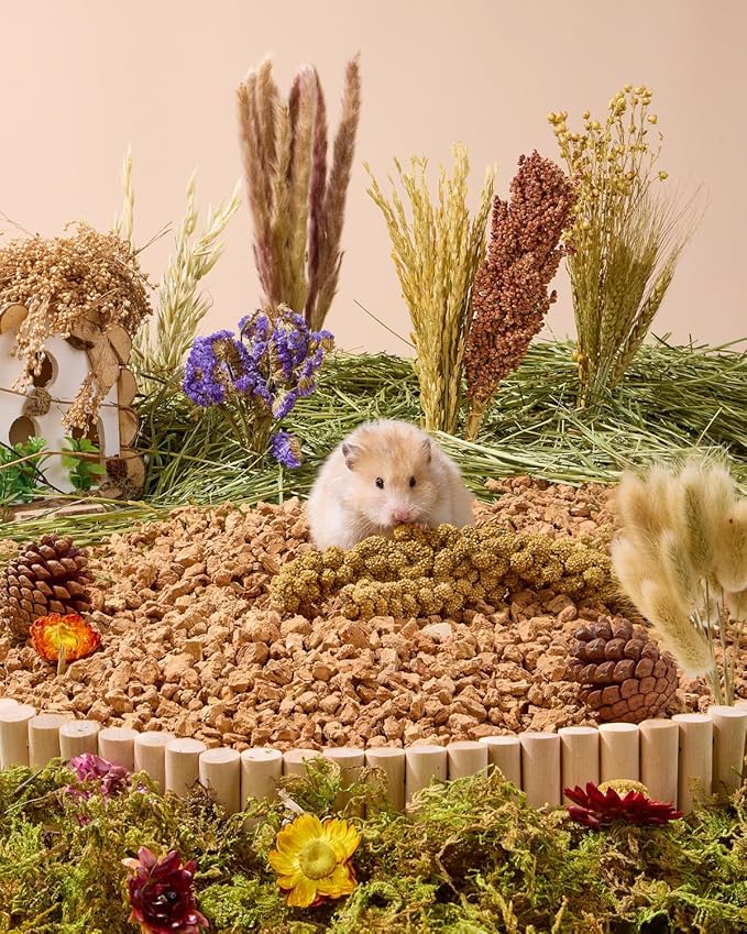 BUCATSTATE 90PCS Natural Hamster Bedding - Flowers & Herbs & Sprays for Cage Habitat Decor - Treat Cereal Grain for Dwarf Syrian Gerbils, Mice, Rat, Forage, Enrichment.