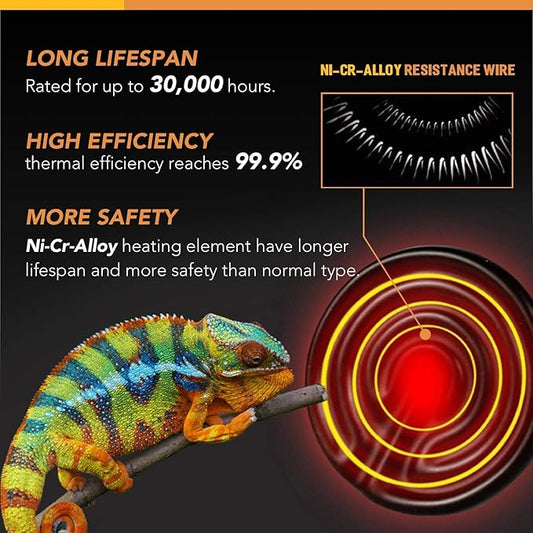 Simple Deluxe 60W Ceramic Heat Emitter Reptile Heat Lamp Bulb No Light Emitting Brooder Coop Heater for Amphibian Pet & Incubating Chicken, Black, 4-Pack
