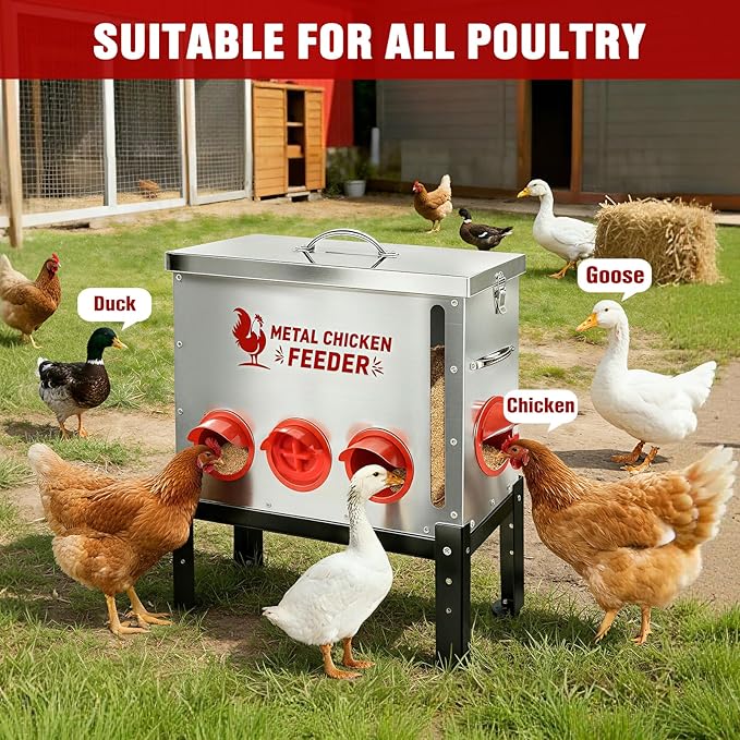 Automatic Chicken Feeder 50 LB Large Capacity with Window 9 Feeding Ports & Buckle Lock Lid and Adjustable Height Stand Chicken Feeder for Chickens Geese Ducks & Poultry(Silver)