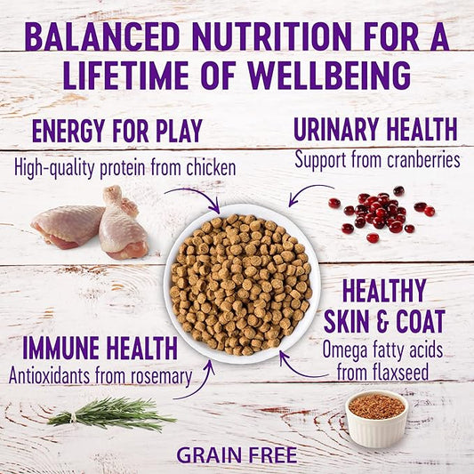 Wellness Natural Pet Food Complete Health Natural Grain Free Deboned Chicken & Chicken Meal Dry Kitten Food, 5.5 Pound Bag (Pack of 2)