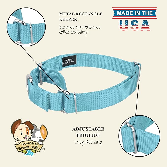 Country Brook Petz - Martingale Dog Collar - Heavy-Duty Training Collar with No Buckle - Service Dog Collar for All Pups - 20 Vibrant Colors (Ocean Blue, 1 Inch, Medium)