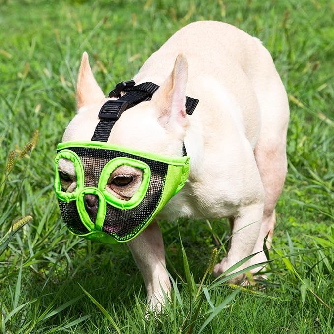 Short Snout Dog Muzzles- Adjustable Breathable Mesh Bulldog Muzzle for Biting Chewing Licking Grooming Dog Mask,Green XL