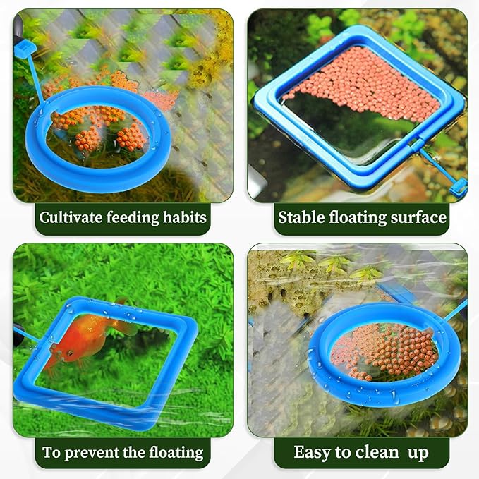 2 Pcs Fish Feeding Ring, Aquarium Feeding Ring Turtle Tank Accessories Automatic Square and Round Floating Food Feeder with Suction Cup for Betta Guppy Goldfish (Blue)