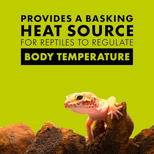 Zilla Reptile Terrarium Heat Lamps Incandescent Bulb, White Spot, 150W