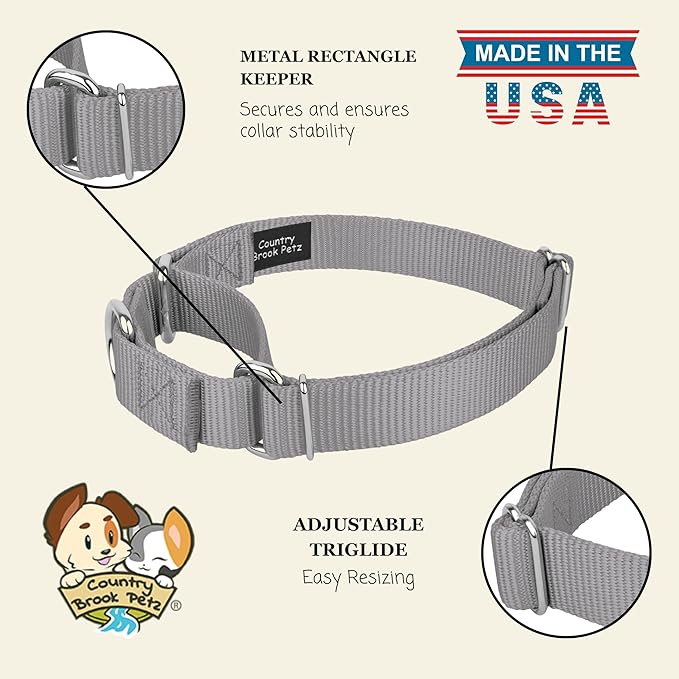 Country Brook Petz - Martingale Dog Collar - Heavy-Duty Training Collar with No Buckle - Service Dog Collar for All Pups - 20 Vibrant Colors (Silver, 3/4 Inch, Small)