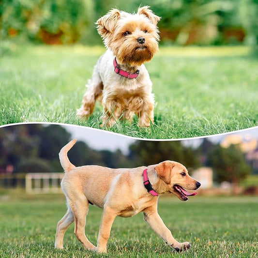 Reflective Dog Collar Padded with Soft Neoprene Breathable Quick Release Basic Dog Collars for Large Dogs Hot Pink Girl