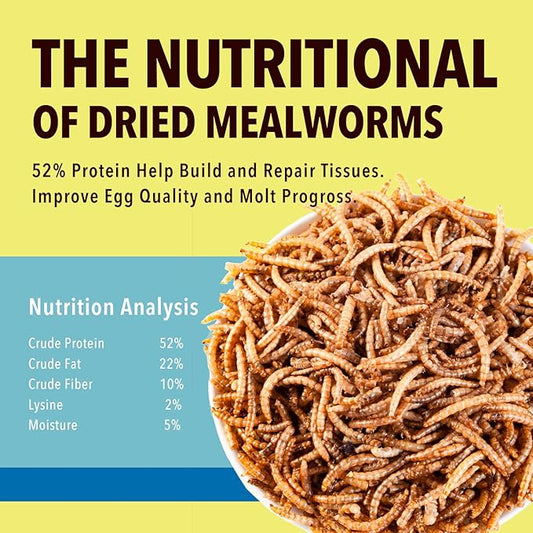 WormsFarm 11lb Dried Mealworms for Chickens Snacks for Birds Bulk-Treats for Laying Hens(11 Pound)