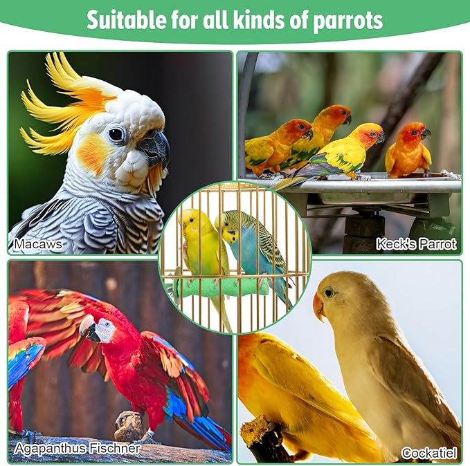 2PCS Bird Perches for Cage, Bird Beak Grinding Stone, Parrot Stand Claw Trimming Chewing Toy Accessories for Budgies Parakeets Cockatiels Conures Supplies (S)