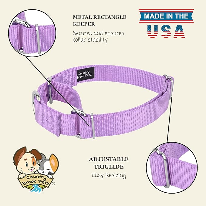 Country Brook Petz - Martingale Dog Collar - Heavy-Duty Training Collar with No Buckle - Service Dog Collar for All Pups - 20 Vibrant Colors (Lavender, 3/4 Inch, Small)