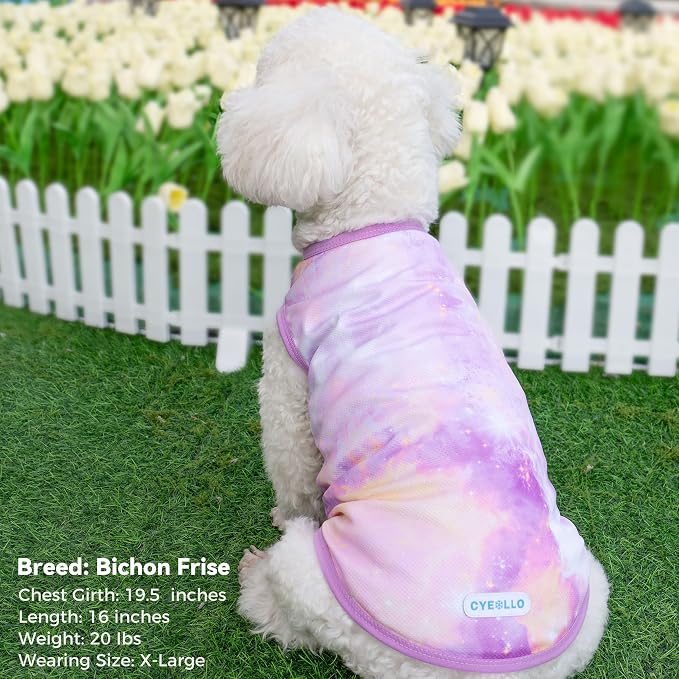 cyeollo 2pack Dog Shirt Cooling Breathable Sleeveless Summer Clothes for Dogs, Intant Cool T Shirts for Small Dogs, Purple M