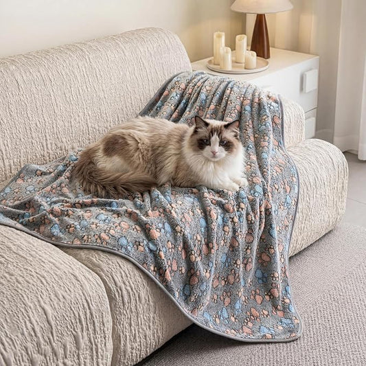 Dog Blanket 2 Pack Soft Flannel Pet Blanket for Dogs & Cats, Cozy Puppy Blanket for Couch Bed Crate, Washable Paw Print Throw 50x60 Inch Grey&Brown