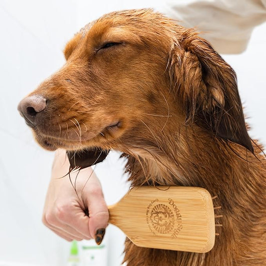 Doggy Style Bamboo Dog Brush for Medium and Large Dogs, Deshedding and Detangling Pet Grooming Brush with Pin Bristles, Ergonomic Handle, Rubber Cushion, Plastic-Free 9.5 Inch