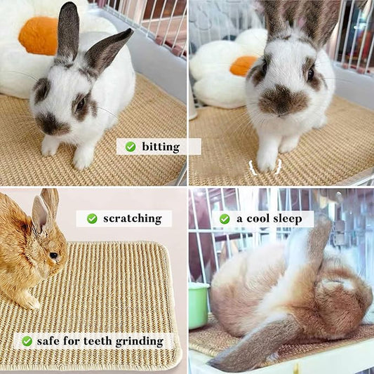 Large Rabbit Scratching Pad Indoor Edible for Claws and Teeth Grinding Chew Toys, Rabbit Mat for Cages Chew Pad, Rabbit Toys Boredom, Natural Bunny Scratcher pad, Bunny Mat Chew, 16x12 (1pc)
