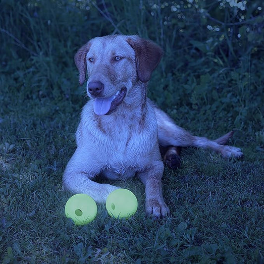 Chew King by Mammoth Set of 2 Glowing Fetch Ball, Durable Bouncy Interactive Toy for Pets & Dogs, Lightweight, 3 Inch, Fits Ball Launcher