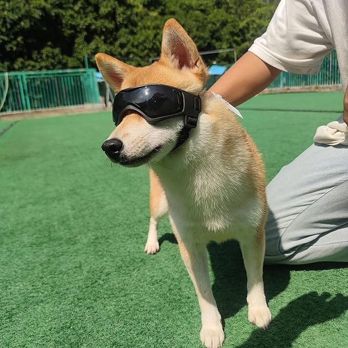 Dog Goggles Small Breed, UV Protection Dog Sunglasses for Medium Dog Outdoor Riding Driving, Medium Black