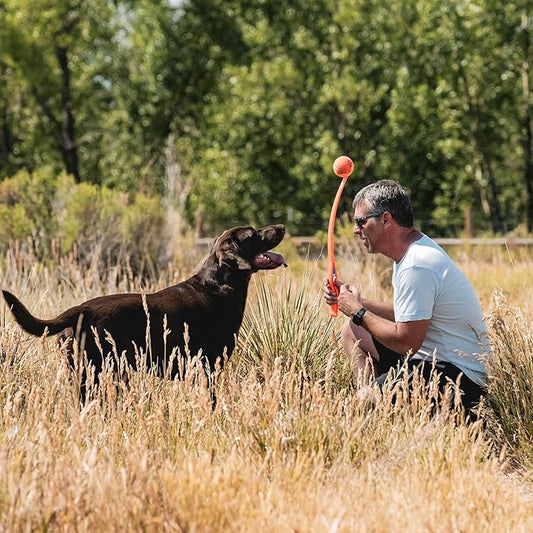 Chuckit! Sport 26L Dog Ball Launcher - Includes a 3-inch Diameter Large Ball for Dogs 60-100 Pounds - Manual Thrower for Dog Balls With a Slim Ergonomic Handle - 26-inch Length