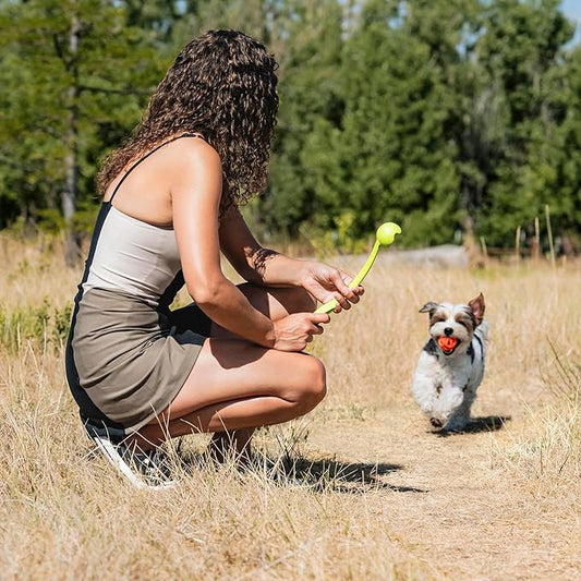 Chuckit! Sport 14S Ball Launcher for Small Dogs, 14-Inch Manual Thrower with 2-Inch Ball, Fits Dogs up to 20 lbs