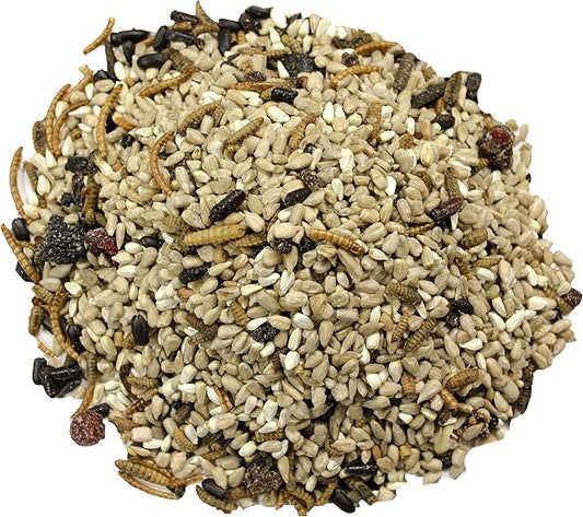 Wild Delight Advanced Formula Bugs N Berries Wild Bird Food 4.5 lbs (Pack of 2)
