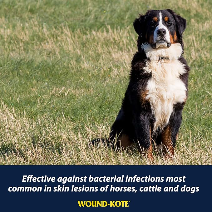 Farnam Wound-Kote Blue Lotion Spray Horse Wound Care, Antiseptic Spray for Dogs and Horses, Minor Wounds, Cuts and Sores, 7 Oz.