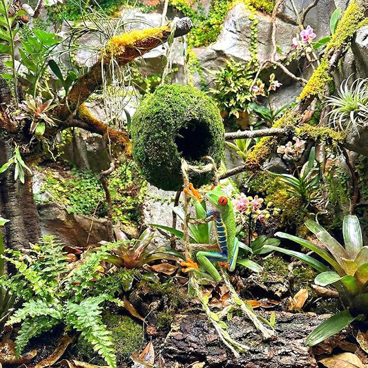 Moss Cave Hideout with Hanging Rope & Hemp Climbing Ladder – Natural Reptile Tank Decor Accessories for Crested Geckos, Chameleons, Tree Frogs, Leopard Geckos & Snakes. Terrarium & Vivarium Decor (4")