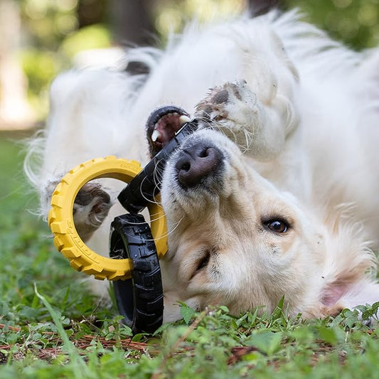 Tonka Rubber 3-Ring Tug Dog Toy, Lightweight, Durable and Water Resistant, 7.5 Inches, for Medium/Large Breeds, Single Unit, Yellow/Black