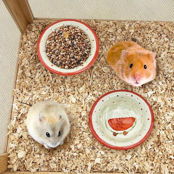 kathson Hamster Ceramic Food Bowl Small Animal Bowls with Watermelon Pattern for Cage Guinea Pig Anti-Turning Food and Water Dish Pet Feeder for Gerbil Hedgehog 2PCS