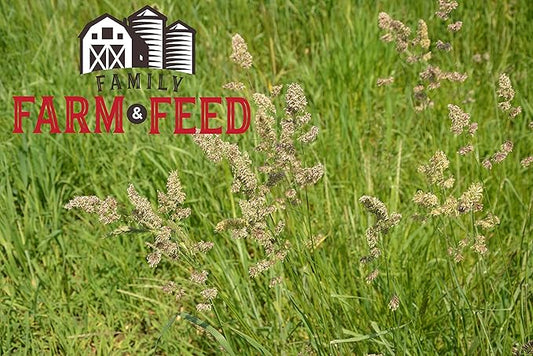 | Timothy Grass Food | Small Pet | Young and Adult | Cubes | 3 Pounds
