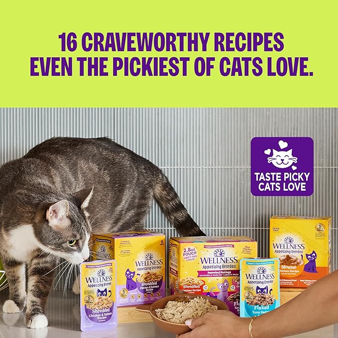 Wellness Appetizing Mousse Flaked Adult Wet Cat Food, Natural, Protein Rich, Grain Free, Chicken Recipe, 2.8 oz, Pack of 8 Pouches