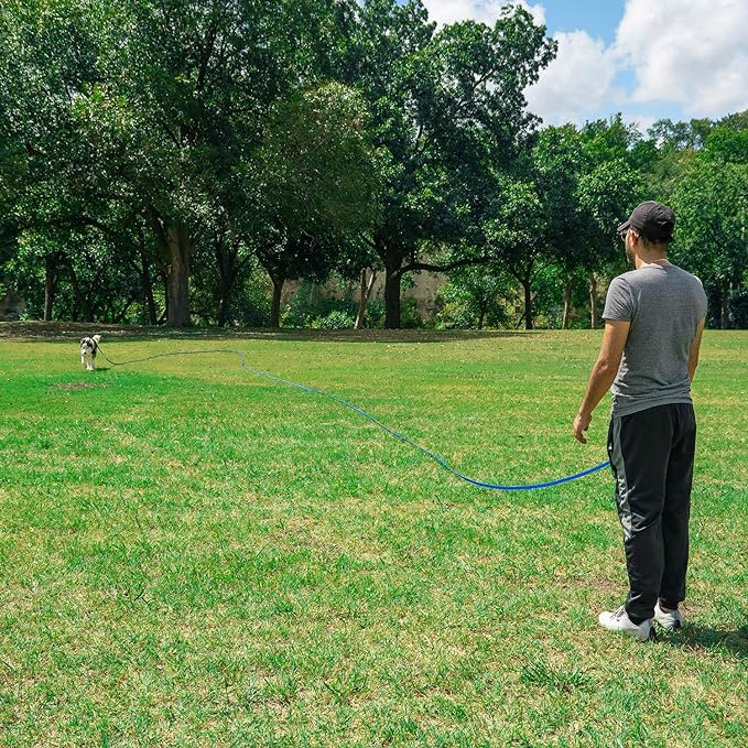 Hi Kiss Dog/Puppy Obedience Recall Training Agility Lead - 15ft 20ft 30ft 50ft 100ft Training Leash - Great for Training, Play, Camping, or Backyard Purple 20 Feet