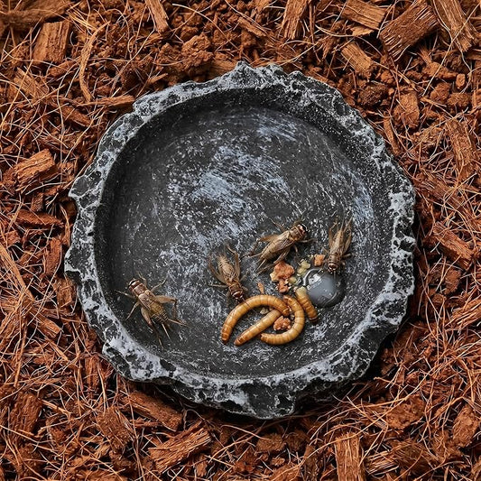 2 Pack Reptile Water and Food Bowls, Feeding Dish for Leopard Gecko, Lizard, Spider, Scorpion, Chameleon - Breadworm Feeding (2Pcs Round)