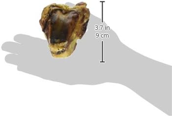 Scott Pet Grillerz Pork Knee Bone, 4 Count, Pork Bones for Dogs, Rawhide Free, Dog Chew for Healthy Teeth & Gums, High Protein, Easy to Digest, Long Lasting, Natural Treats for All Breeds