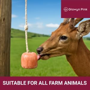 Glowyn Himalayan Salt Lick-Natural Minerals Block on Rope - 4.0 lbs. (6 Packs) - Great for Horses, Cattle, and Live Stock– Long Lasting – Pink Salt Lick