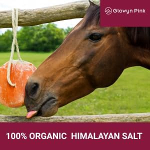 Glowyn Himalayan Salt Lick-Natural Minerals Block on Rope - 4.0 lbs. (6 Packs) - Great for Horses, Cattle, and Live Stock– Long Lasting – Pink Salt Lick