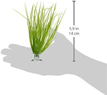 Marina Betta Kit Plastic Plant, Hairgrass