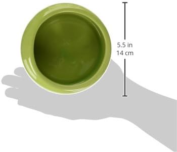 Living World Ergonomic Food Dish, for Small Animals, Green, Large, 14.78 oz, 61681