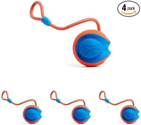 Chuckit! Rope Fetch Dog Toy - Ball on Rope Fetch and Tug-of-War Toy for Dogs - Durable EVA Rubber Construction - 5.5-inch Diameter - 18-inch Rope - Orange and Blue (Pack of 4)