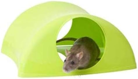 Lixit® Critter Hollow Igloo Hidaway Home for Guinea Pigs, Chinchillas, Rats and Other Small Animals (Pink, 1 Pack)