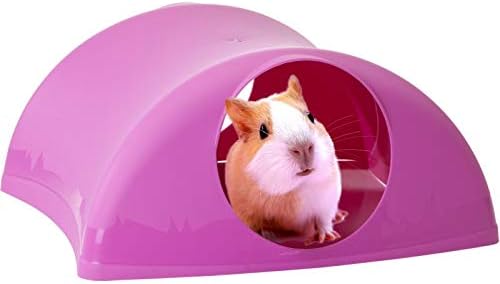 Lixit® Critter Hollow Igloo Hidaway Home for Guinea Pigs, Chinchillas, Rats and Other Small Animals (Pink, 1 Pack)