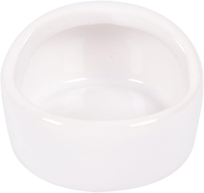 Gradient Side Hamster Ceramic Bowl,Cute Small Animal No Spill No Turnover Food Water Bowl Dish Holder for Guinea Pig Rodent Rat Gerbil Cavy Hedgehog Dwarf Feeder Feeding Bowl Basin,Pet Supplies,White