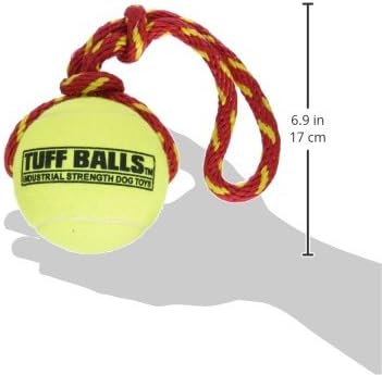 PetSport Giant Fling Thing Dog Toy, 4-Inch