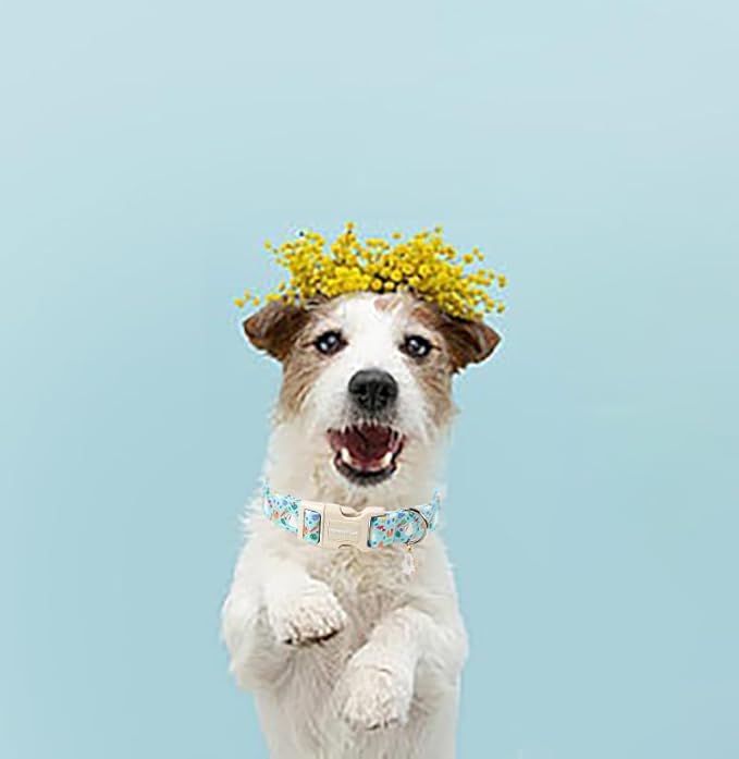 Lionet Paws Easter Dog Collar- Cute White Easter Bunny Blue Dog Collars with Plastic Buckle, Medium Large Dogs Collars with Osterhase Pendant