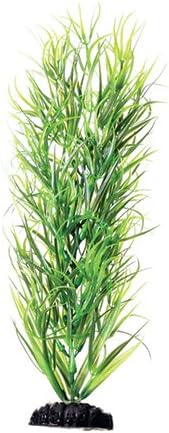 Underwater Treasures Green Diandra - 12"