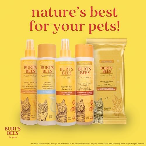 BURT'S BEES FOR PETS Cat Dander Remover Wipes, Colloidal Oat Flour and Aloe to Soothe Dry Skin and Reduce Flaking, Unscented Grooming Cloths for Cats and Kittens, 50 Count - 2 Pack
