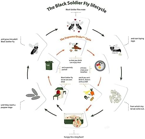 Natural Black Soldier Fly Larvae for Chickens, 85X More Calcium Than Mealworms-High Protein Grub Food Chicken Treats for Hens, Probiotic & Calcium Rich Chicken Feed, Bird Treat 1lb