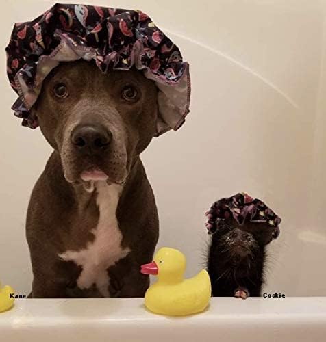 Piggy Poo and Crew Brightening Pet Shampoo Oatmeal Cherry Scented No Bleach Peroxide or Alcohol Gentle pH-Balanced Formula for Pigs and Small Animals and Shampoo Scrub Brush